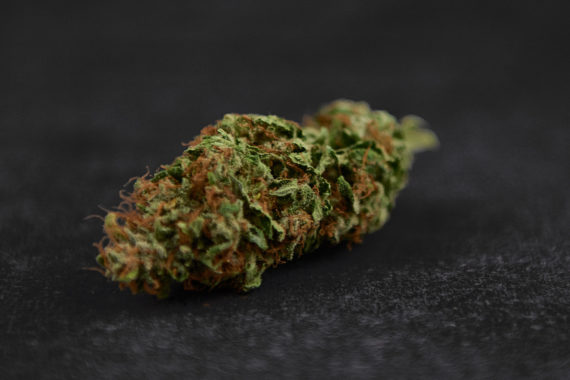 Edel Cannabisblüte