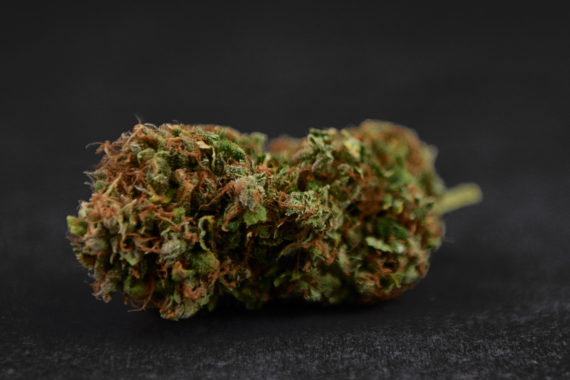 Edel Cannabisblüte